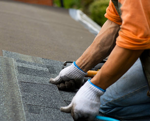 Best Roof Gutter Cleaning  in East Highland Park, VA