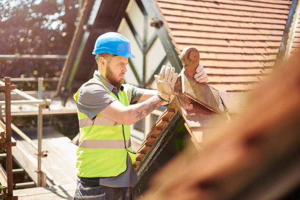 Gutter Installation and Roofing in East Highland Park, VA